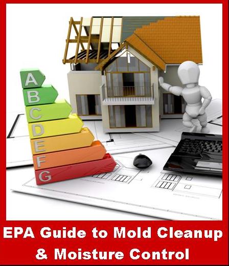 EPA Guide to Mold Cleanup
